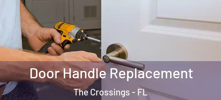  Door Handle Replacement The Crossings - FL