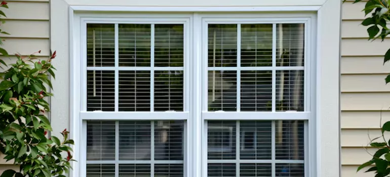 Custom Double Hung Windows in The Crossings, FL