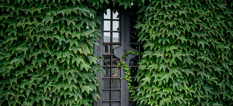 Garden Gate Repair in The Crossings, FL