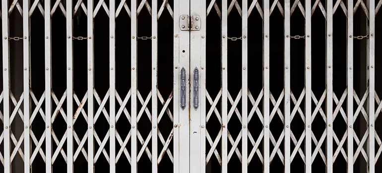 Steel Line Garage Door Repairs in The Crossings, FL