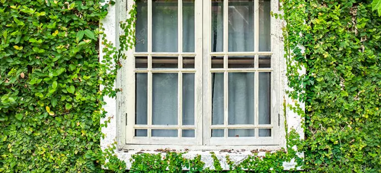 Garden Window Repair Near Me in The Crossings, FL