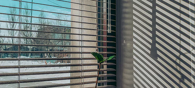 Commercial Window Blinds in The Crossings, FL
