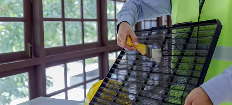 Traditional Window Grille Installation Options in The Crossings, FL