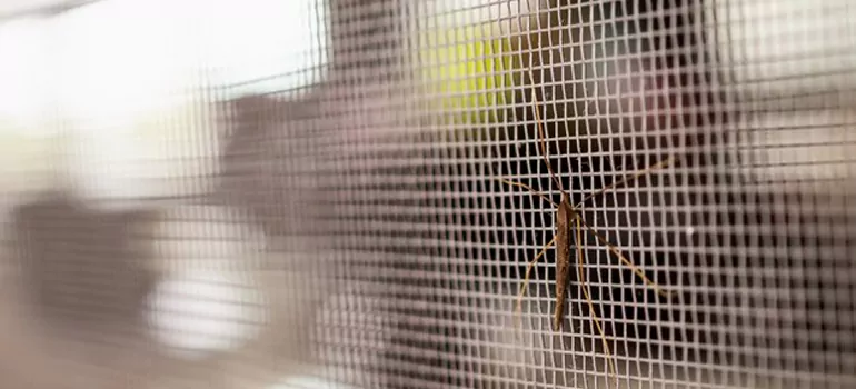 Repair Mosquito Mesh For Windows in The Crossings, FL