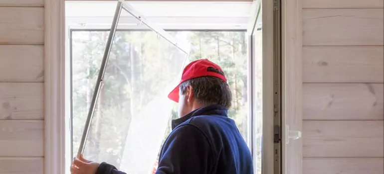 Expandable Window Screen Installation in The Crossings, FL