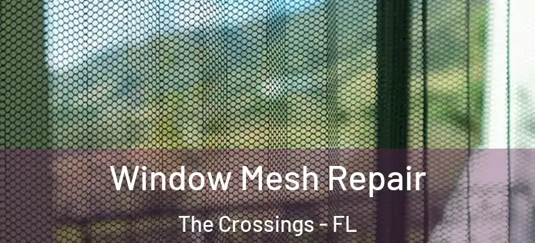  Window Mesh Repair The Crossings - FL