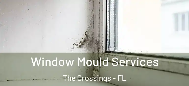  Window Mould Services The Crossings - FL